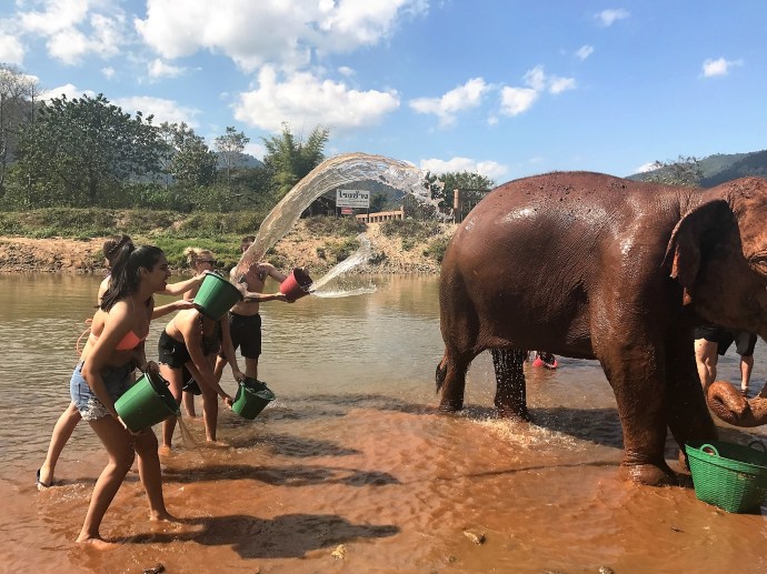 0115282776f5b2444379d3089ff61e34e9958395dd_00001